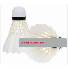 Cầu lông HẢI YẾN (1)